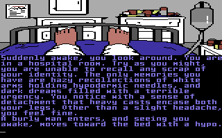 Nine Princes in Amber screenshot 3 for Commodore 64